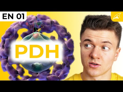 Pyruvate dehydrogenase complex – simply explained!