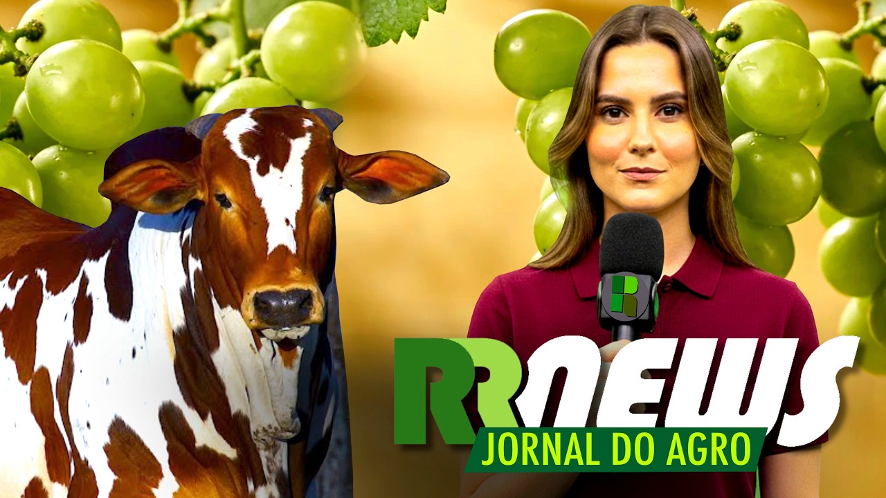 RRNEWS - O Jornal do Agro - 25/07/2026