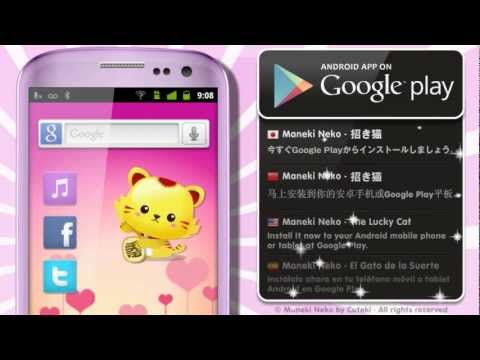 Kawaii Lucky Cat / Maneki Neko Video