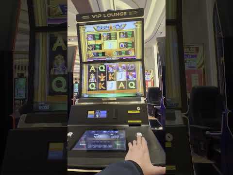 Book of Ra FULL SCREEN JACKPOT on 50€ SPINS in 2025 CASINO LANDBASED CITY OF DREAMS