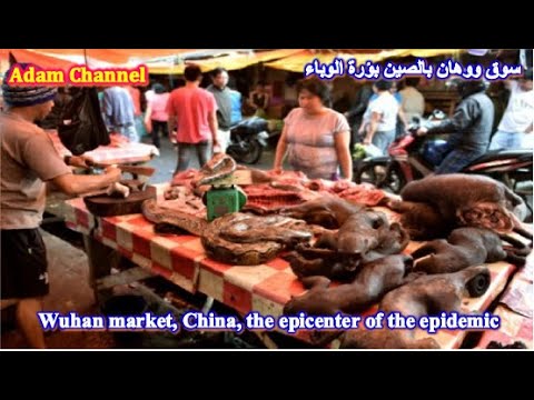 , title : 'Wuhan market, China, the epicenter of the Coronavirus epidemic #Challenge, complete the video'