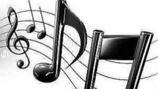 FLORIN BRASOVEANU&MARIUS NAZIRU-SIRBA STUDENTILOR.wmv