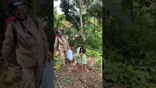 Download lagu Kasihan simbah 🥹 mp3