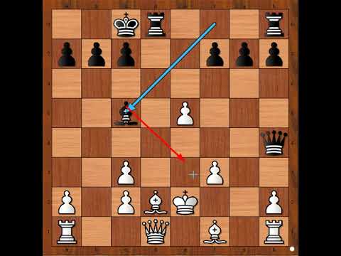 Neverovatni pritisak na Kralja 💣💣💣👑💥 HAMPPE vs STEINITZ #2952