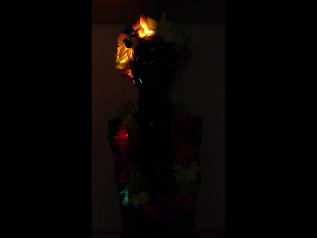 Vídeo relacionado con PLABBDPL Juego de 16 piezas Decoración Hawaiana Leis, Collar de Flores Hawaianas, Pulseras, Diadema, unisex, para Fiesta Tropical, en la Playa, Bar Nocturno, Vacaciones en la Playa