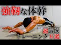 【筋トレ】プランシェ・フロントレバーにも繋がる厳選体幹トレーニング6選