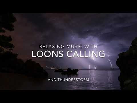 20 Minutes Relaxing Loon Calls - Loon Call For Relaxing ;  * With Soothing Thunderstorm*