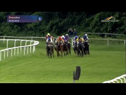 BBAG Auktionsrennen Dresden 2019