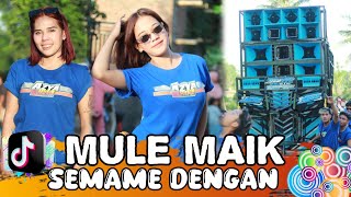 Download lagu MULE MAIK SEMAMEN DENGAN LAGU VIRAL TIKTOK AZYA MUSIK mp3