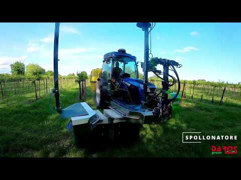 DA ROS GREEN SPOLLONATORE