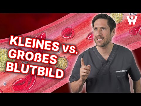 Richtiges Blutbild: Welche Blutwerte werden bestimmt und welche Erkrankungen werden entdeckt?