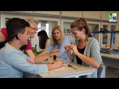 download lagu mp3 mp4 Gymnasium Salzhausen, download lagu Gymnasium Salzhausen gratis, unduh video klip Gymnasium Salzhausen