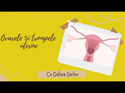, title : 'Ovarele si trompele uterine - alaturi de Galina Sarbu'