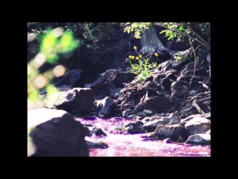 VICENTE EL VIZIO - AGUA BENDITA (DARKSTRAW REMIX)