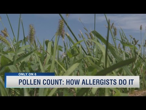 Historical Pollen Counts By Zip Code