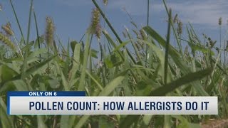 Pollen Count: How Allergists Do It