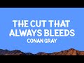 ConanGray The Cut That Always Bleeds Lyrics