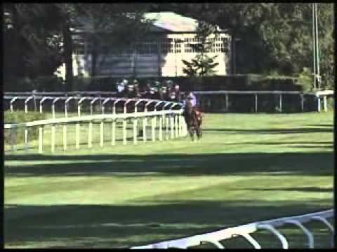 Premio Gran Criterium 2011 (GR1)