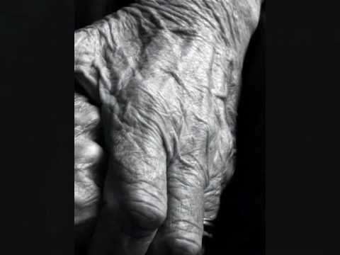 LA VECCHIA DELL'ACETO