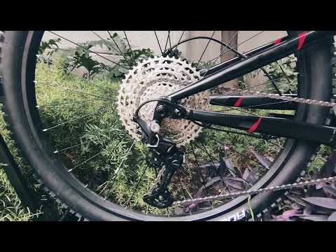 Belfort Bálam Lyrik 2021