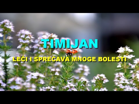 TIMIJAN - LEČI i SPREČAVA MNOGE BOLESTI