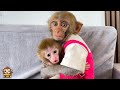 YiYi loves baby monkey so much