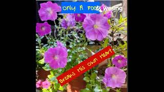 Only a Fool Breaks His Own Heart