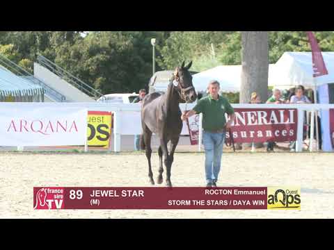 Show AQPS Ouest 2021 - Lot 89