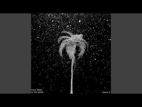 Palm Trees In The Snow