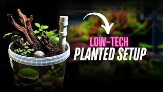 How to Set Up ✅ Your 🐟 Outdoor Planted Tank | Step-by-Step Fish Pond Setup | Complete Guide.