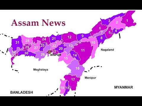 Assamese Daily Newspapers Video