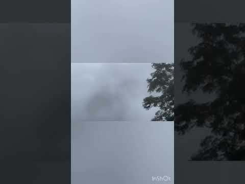 Ooty monsoon season | #hashtags