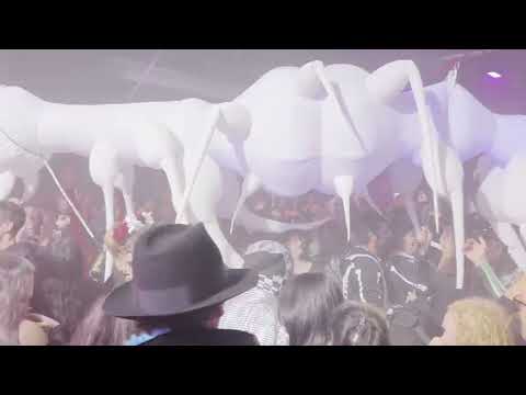 Itchy-O Hallowmass 2024