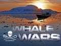 Whale Wars Theme Song