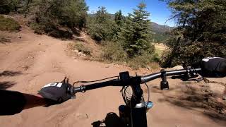 Turtle trail to Miracle Mile "The Crash"