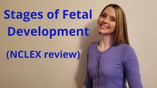 THE STAGES OF FETAL DEVELOPMENT 