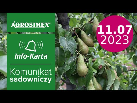 Grusze - miodówka gruszowa i nawożenie - komunikat sadowniczy | Agrosimex
