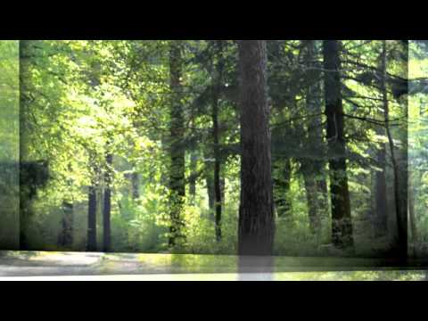 Andy Compton Feat. Oluwa "Transcend"