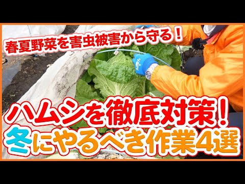 土壌浸食の影響は何ですか