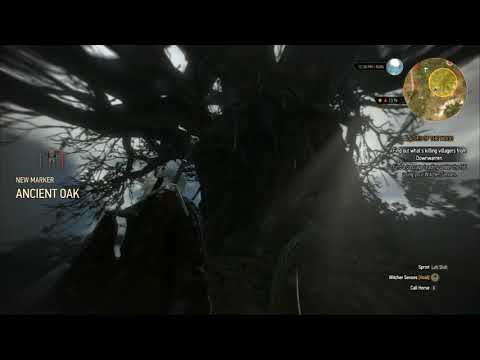 Steam Community :: Video :: Witcher 3 The Ghost in the tree The ...