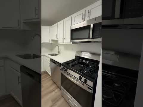 Arrive Silver Spring 1-Bedroom Virtual Tour