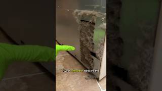 This Might Be Costing You Money | Day 3 Spring Cleaning Spree 2024 #cleaning #howto #home