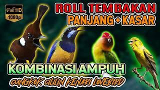 Download lagu #07 MASTERAN ROLL TEMBAKAN SPEED RAPAT PANJANG FULL KASAR. untuk MURAI BATU CUCAK HIJAU CENDET mp3
