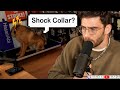 Hasan Accused Of Using A Shock Collar On His Dog Streamers React