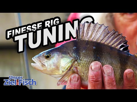 LANGSAM FÄNGT: TUNINGTIPP für T-RIG und WURM von JÖRG OVENS - Unser Ziel ist Fisch - Angelschule