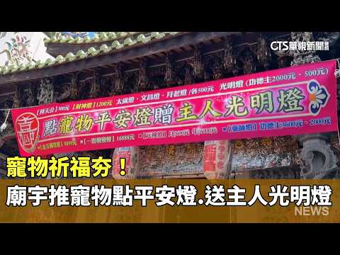 寵物祈福夯！　廟宇推寵物點平安燈.送主人光明燈