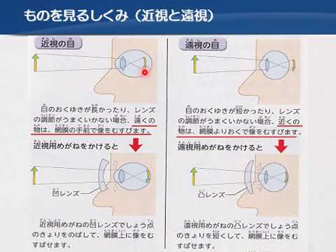 教育福祉学科 05 解剖生理と疾病⑤ 神経･皮膚系