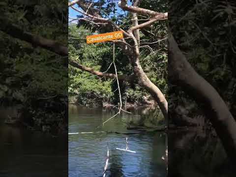 Cavalcante Goiás #roça #pescaria #viagem #turismo