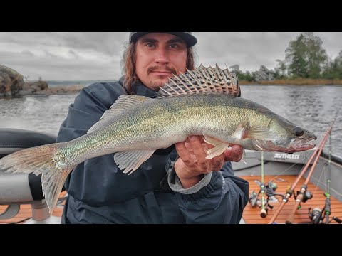 SYÖKÖ KALA SATEELLA? | SYÖTTIÄ KUIN SOPPAKATTILASSA | JIGIKALASTUS  | SYKSY SAAPUU & JIGIT TOIMIVAT