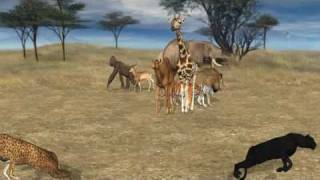 Serengeti Demo